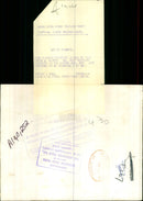 Rare siamese wildcats. - Vintage Photograph