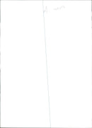 Sneezy the kitten who is allergic to humans. - Vintage Photograph