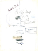 Cat. - Vintage Photograph