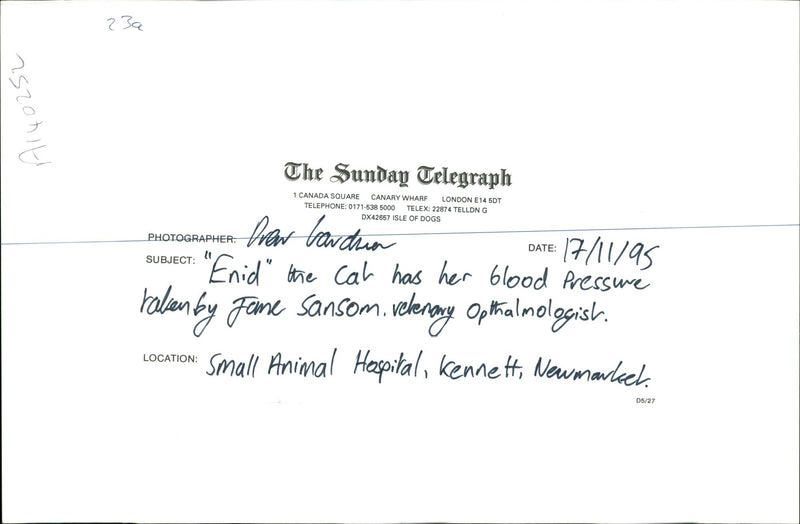 Enid the cat has her blood pressure. - Vintage Photograph