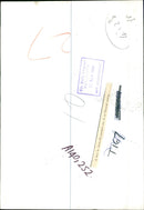 A duet by musically minded cats. - Vintage Photograph