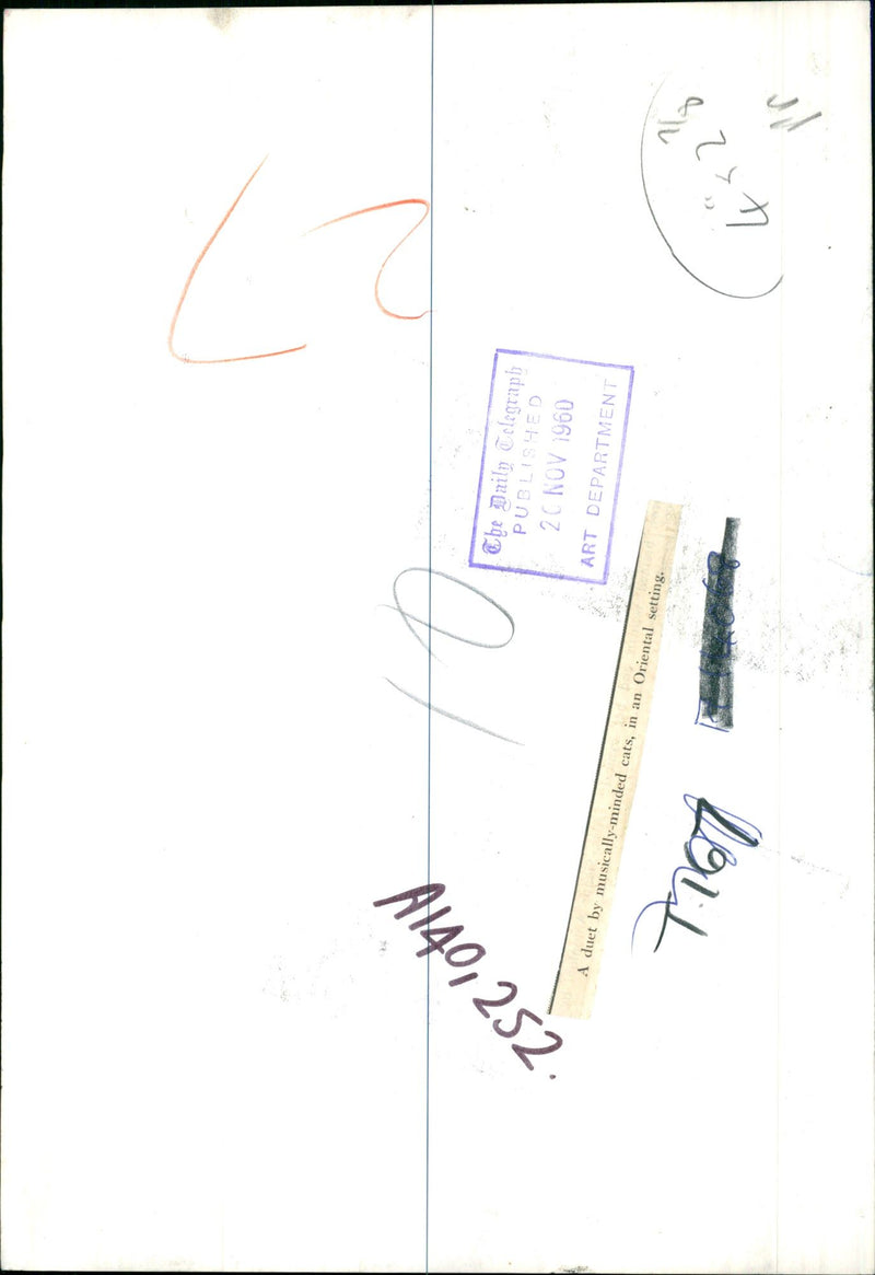 A duet by musically minded cats. - Vintage Photograph