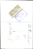 Planted trees in Israel - Vintage Photograph