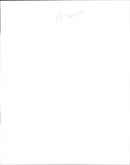 Pudding and Holly. - Vintage Photograph