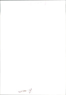 Cat. - Vintage Photograph