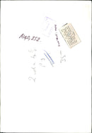 Handfuls of fur and feathers on exhibitions. - Vintage Photograph