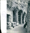 Black cat spying. - Vintage Photograph