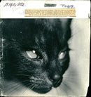 Black cat spying. - Vintage Photograph