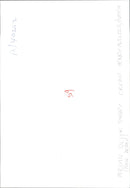 Persian Silver Tabby. - Vintage Photograph