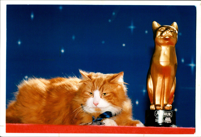 Golden Arthur winner Gizmo from Great Yarmouth. - Vintage Photograph