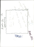 Cats eye. - Vintage Photograph