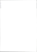 Jack the Cat. - Vintage Photograph