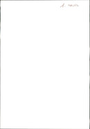 Cat. - Vintage Photograph