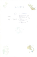 Two White Cat. - Vintage Photograph