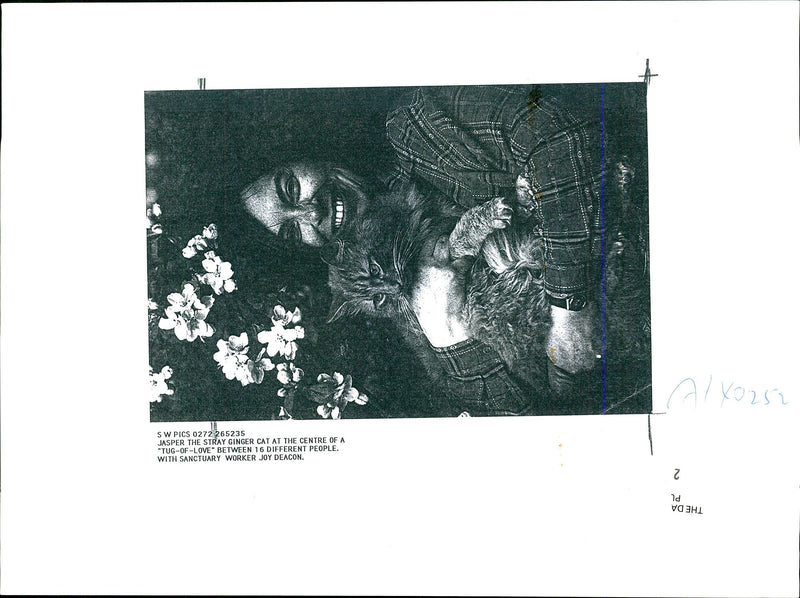 Jasper the stray Cat. - Vintage Photograph