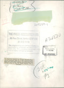 Royal Anglian Regt. - Vintage Photograph