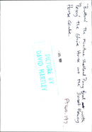 'Buttons' the Shetland Pony with her foal 'Percy' - Vintage Photograph