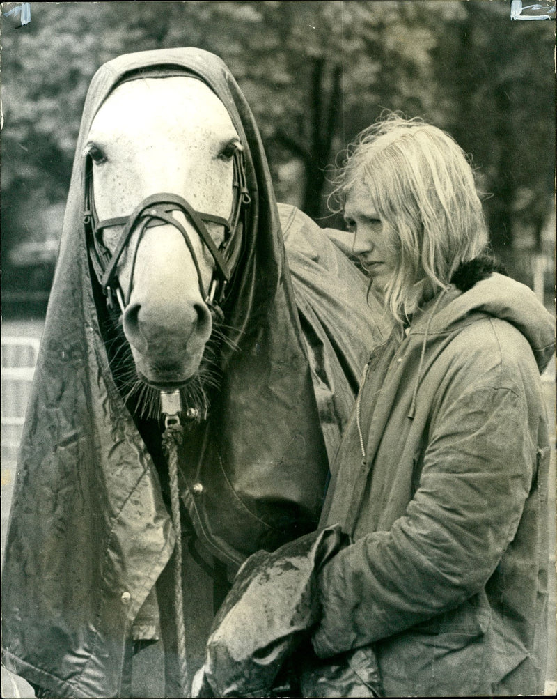 Caroline Bradley's horse at London Horse Show - Vintage Photograph