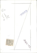 Ponies running free at Over Stowey. - Vintage Photograph