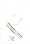 Registered Shetland ponies tries to attract a bit of Attention. - Vintage Photograph