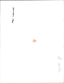 German War Holland. - Vintage Photograph