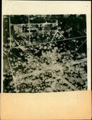 German War Holland. - Vintage Photograph