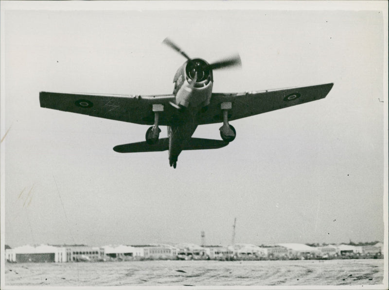 Grumman Hellcat Aircraft - Vintage Photograph