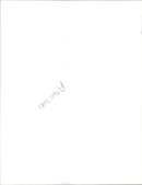 The Highjacked Lufthansa Airline. - Vintage Photograph