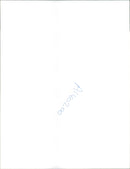 A Highjacking Lufthansa Airbus. - Vintage Photograph