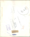 Miss Joan Wallace, who gave evidence in the Mini Car Murder Trial, June 1967. - Vintage Photograph