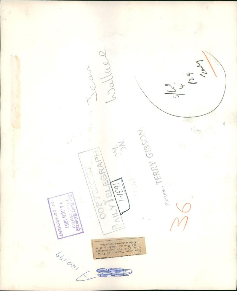 Miss Joan Wallace, who gave evidence in the Mini Car Murder Trial, June 1967. - Vintage Photograph