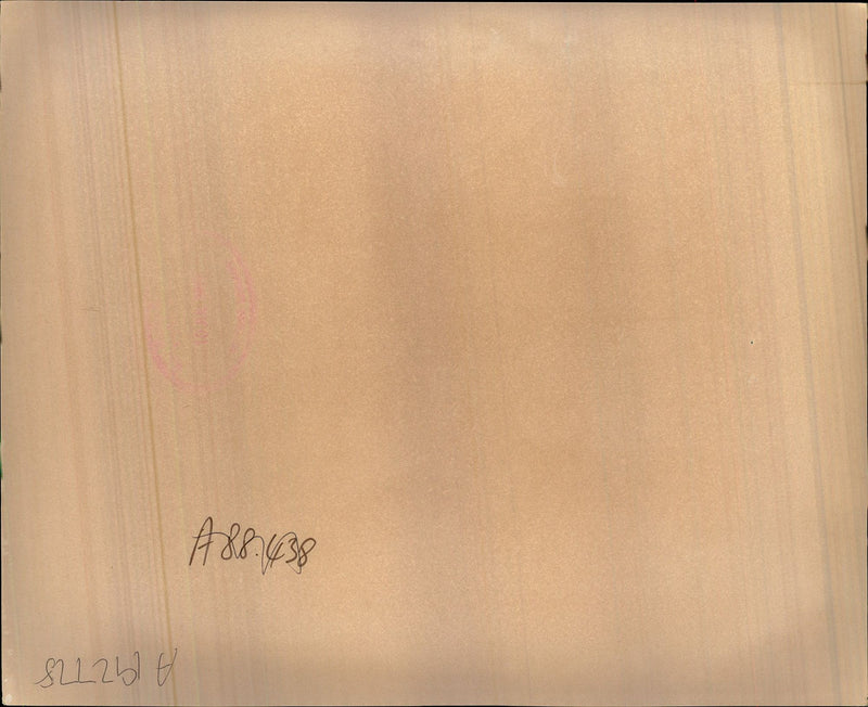 FAMILY MUSIC WRITER CHINA - Vintage Photograph