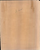 Animal Cruelty. - Vintage Photograph