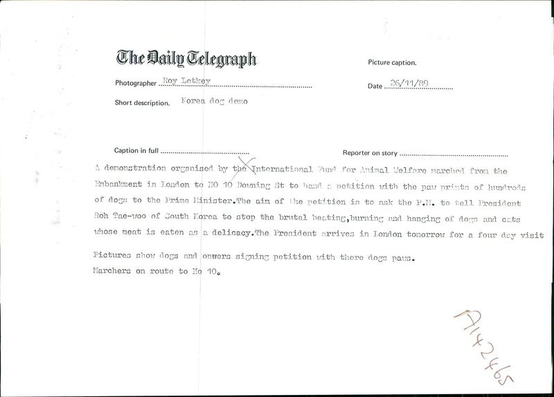 Dogs and Owners signing petition. - Vintage Photograph