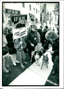 Dogs and Owners signing petition. - Vintage Photograph