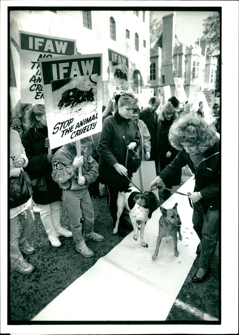 Dogs and Owners signing petition. - Vintage Photograph