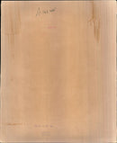 Animal Cruelty. - Vintage Photograph