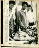 Animal Cruelty. - Vintage Photograph