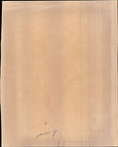 Animal Cruelty. - Vintage Photograph