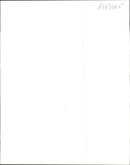 Animal Cruelty. - Vintage Photograph