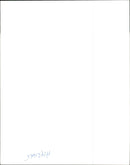 Animal Cruelty. - Vintage Photograph