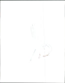 Animal Cruelty. - Vintage Photograph