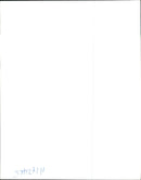 Animal Cruelty. - Vintage Photograph