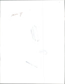 Animal Cruelty. - Vintage Photograph