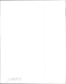 Animal Cruelty. - Vintage Photograph