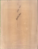 Animal Cruelty. - Vintage Photograph