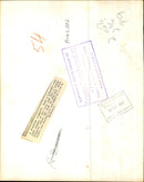 Kangaroo - Vintage Photograph