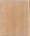 Kangaroo - Vintage Photograph