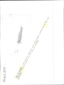 Kangaroo - Vintage Photograph