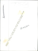 Kangaroo - Vintage Photograph